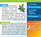 Earth's Care® Ungüento para el alivio del dolor 2.5 OZ (71 g)