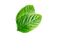 Aceite de Menta