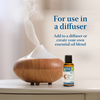 Earth's Care® Aceite Esencial 100% Puro de Clavo 1 FL. OZ. (30ml)