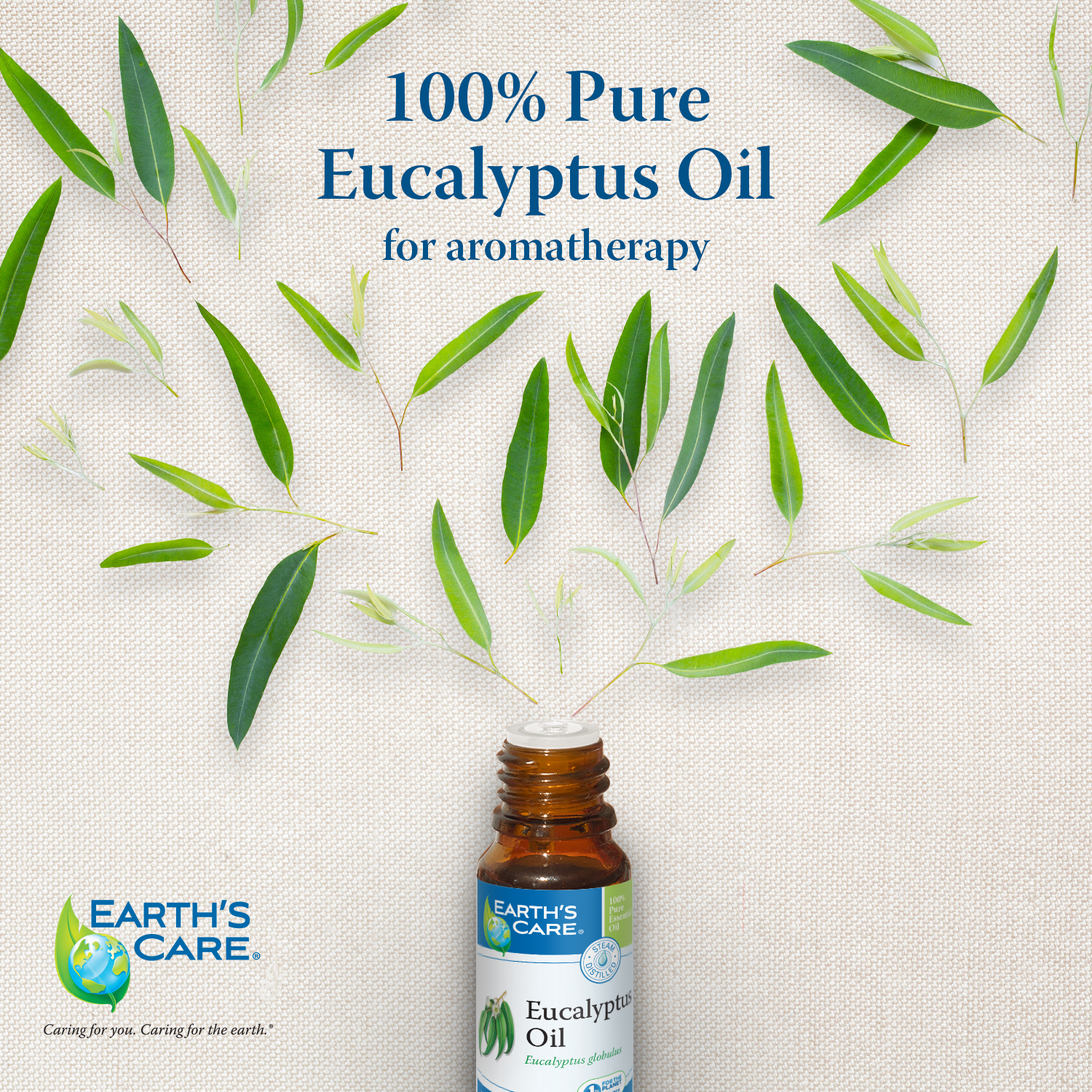 Earth's Care® Aceite Esencial de Eucalipto 100% Puro 1 FL. OZ. (30ml)