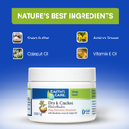 Earth's Care Dry & Cracked Skin Balm jar on a blue gradient background with a green banner reading 'NATURE'S BEST INGREDIENTS' and ingredient callouts for Shea Butter, Arnica Flower, Cajeput Oil, and Vitamin E Oil.