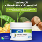 Earth's Care Tea Tree Oil Balm jar with tea tree leaves and shea butter in the background