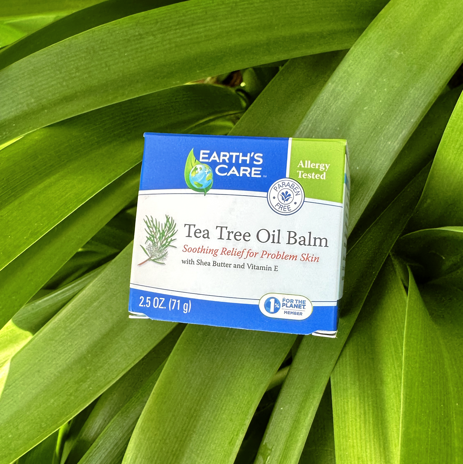 A box of Earth's Care Tea Tree Oil Balm placed on a bed of green leaves. The box is white with blue and green branding, and the product is labeled as soothing relief for problem skin.